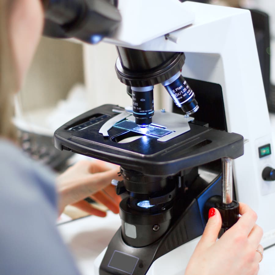 Testing with microscope, Vet Diagnostic Lab in Clackamas