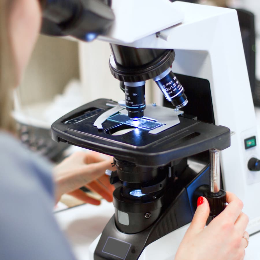 Testing with microscope, Vet Diagnostic Laboratory in Clackamas